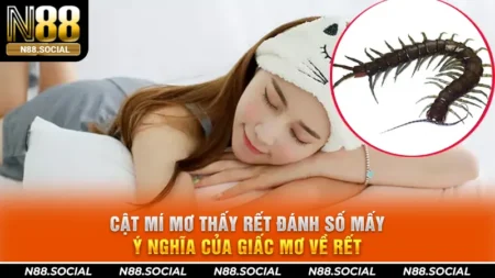 Xổ Số N88 - Xổ Số Minh Bạch, Trả Thưởng Siêu Tốc 2026 - tivon.pro