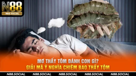 Xổ Số N88 - Xổ Số Minh Bạch, Trả Thưởng Siêu Tốc 2026 - tivon.pro