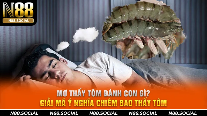 Mơ Thấy Tôm Đánh Con Gì? Giải Mã Ý Nghĩa Chiêm Bao Thấy Tôm - tivon.pro Mơ Thấy Tôm Đánh Con Gì? Giải Mã Ý Nghĩa Chiêm Bao Thấy Tôm - tivon.pro