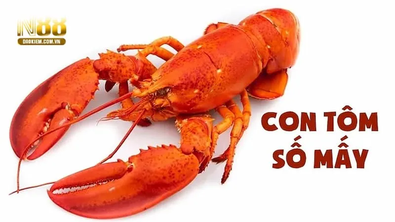Mơ Thấy Tôm Đánh Con Gì? Giải Mã Ý Nghĩa Chiêm Bao Thấy Tôm - tivon.pro Mơ Thấy Tôm Đánh Con Gì? Giải Mã Ý Nghĩa Chiêm Bao Thấy Tôm - tivon.pro