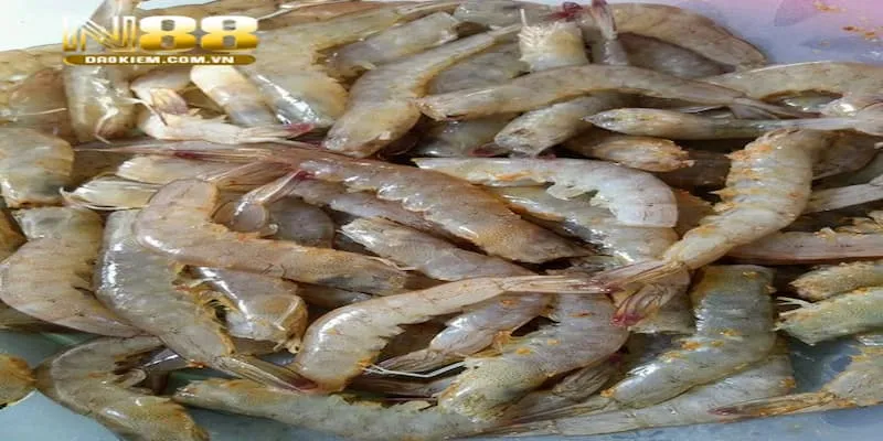 Mơ Thấy Tôm Đánh Con Gì? Giải Mã Ý Nghĩa Chiêm Bao Thấy Tôm - tivon.pro Mơ Thấy Tôm Đánh Con Gì? Giải Mã Ý Nghĩa Chiêm Bao Thấy Tôm - tivon.pro
