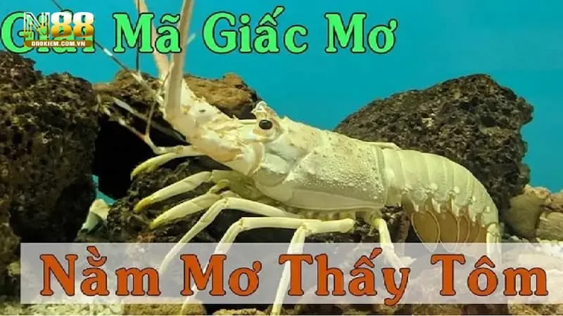 Mơ Thấy Tôm Đánh Con Gì? Giải Mã Ý Nghĩa Chiêm Bao Thấy Tôm - tivon.pro Mơ Thấy Tôm Đánh Con Gì? Giải Mã Ý Nghĩa Chiêm Bao Thấy Tôm - tivon.pro