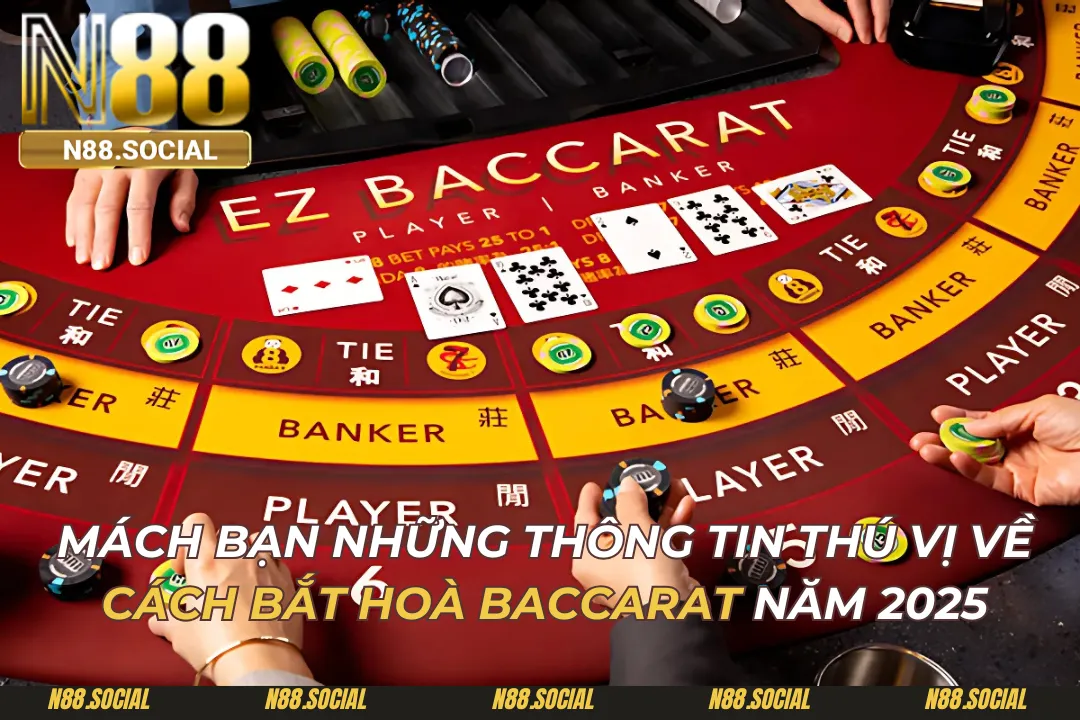 Những Thông Tin Thú Vị Về Cách Bắt Hoà Baccarat Năm 2026 - tivon.pro
