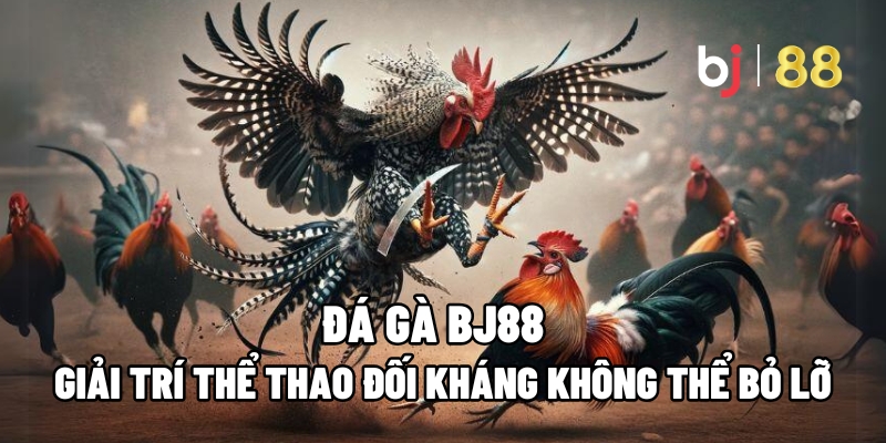 Đá Gà BJ88 – Giải Trí Thể Thao Đối Kháng Không Thể Bỏ Lỡ - tivon.pro