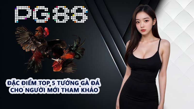 Top 5 Tướng Gà - Trải Nghiệm Các Giống Chiến Kê Hàng Đầu - tivon.pro